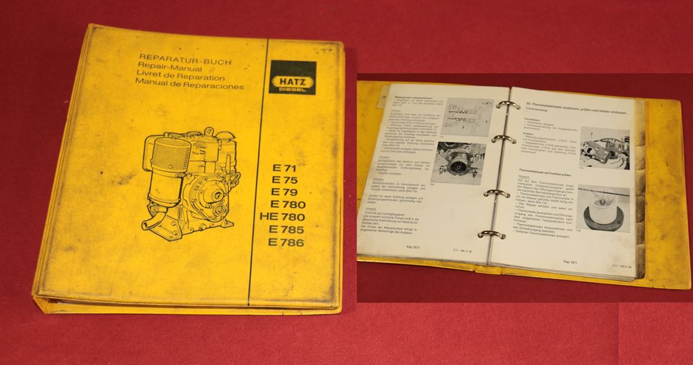 Hatz Motoren E 71, 75, 79, 780, 785, 786 Werkstatthandbuch